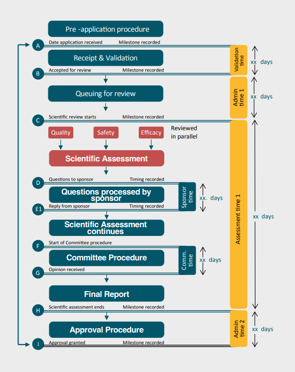 Country Report process breakdown